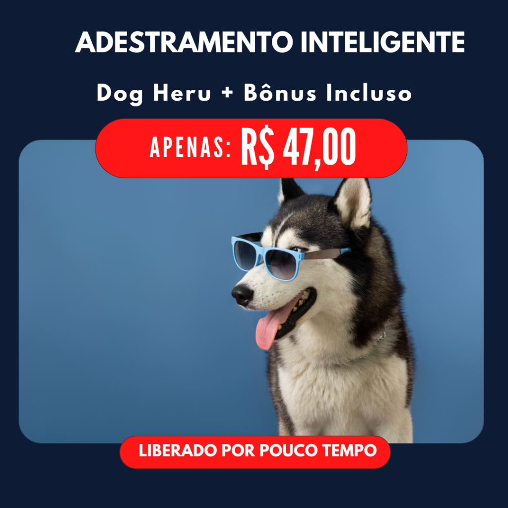 cópia de criativos feed